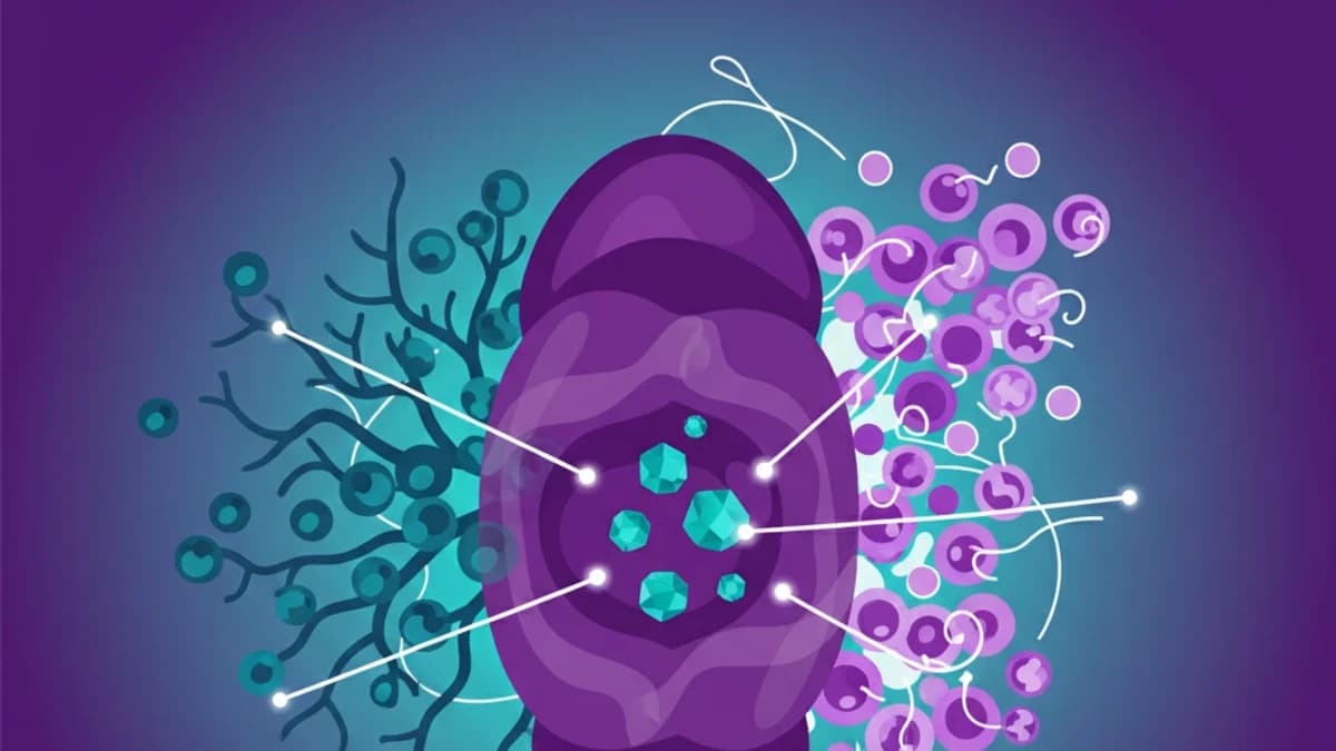 MLVs: Dual Role in Brain Metastases Offers Therapeutic Targets